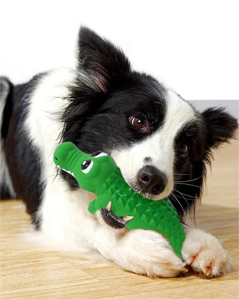 Latex crocodile squeaky chew toy for small dogs

Durable rubber crocodile dog toy for teeth cleaning

Bite-resistant squeaky toy for medium dogs

Interactive crocodile-shaped dog chew toy

Safe latex squeaky toy for puppy playtime