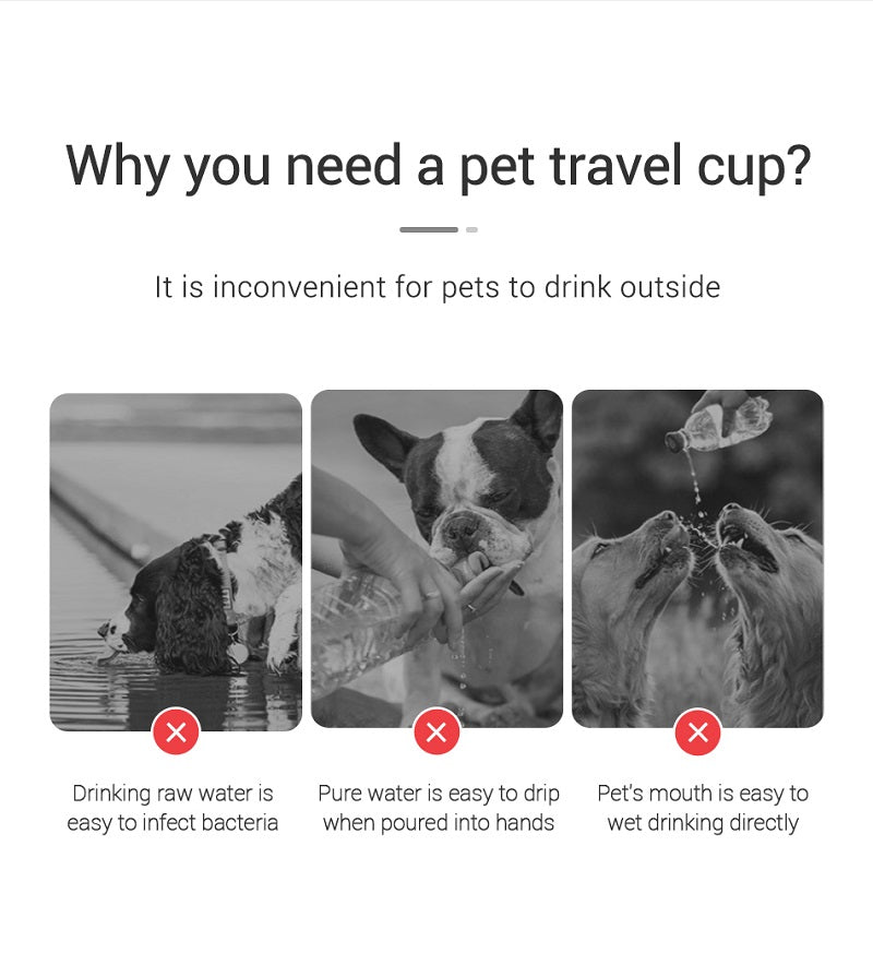 Portable Dog Water Bottle – Eco-Friendly & Leak-Proof for Travel