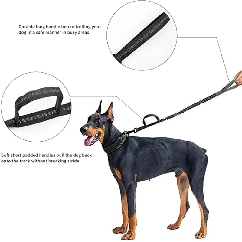 Adjustable tactical collar with quick-release buckle and double security